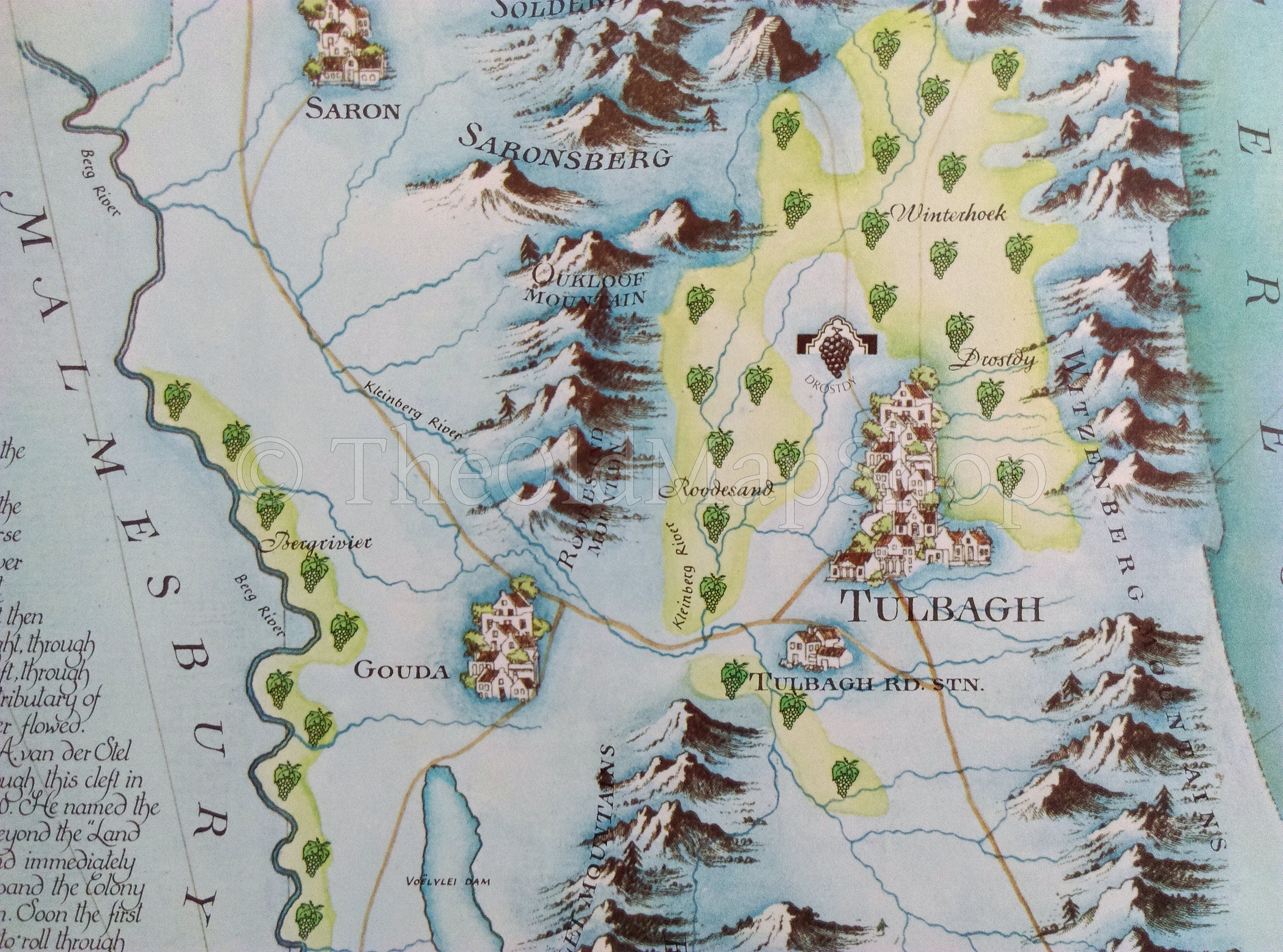 South Africa, Tulbagh Wine Region Vinyard Winery Map, 1973 Janice Ashby Pictorial Map, Poster