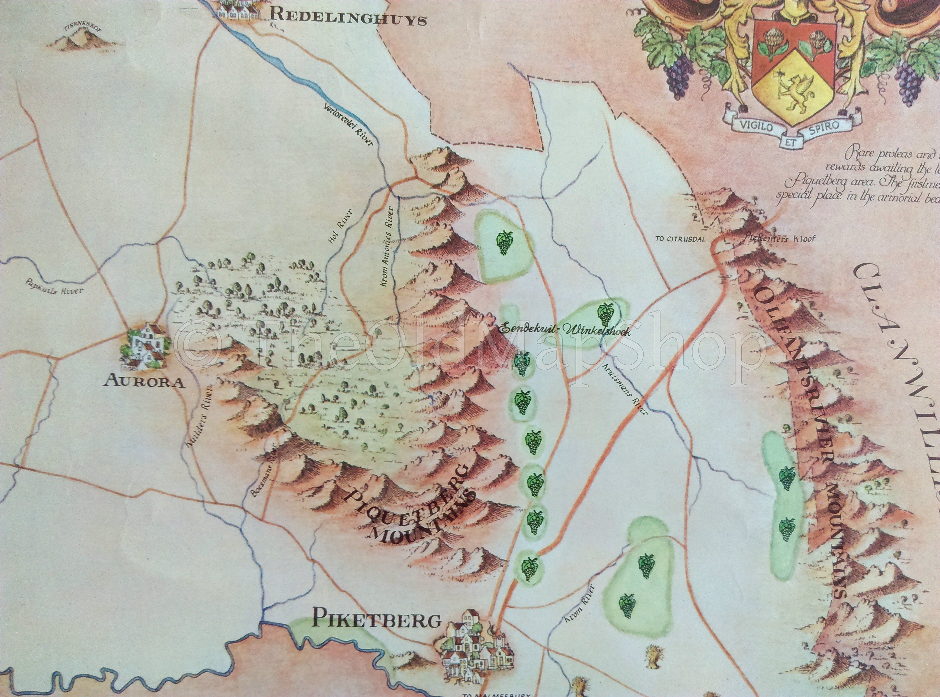 South Africa, Piquetberg Wine Region Vinyard Winery Map, 1973 Janice Ashby Pictorial Map, Poster