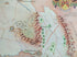 South Africa, Piquetberg Wine Region Vinyard Winery Map, 1973 Janice Ashby Pictorial Map, Poster