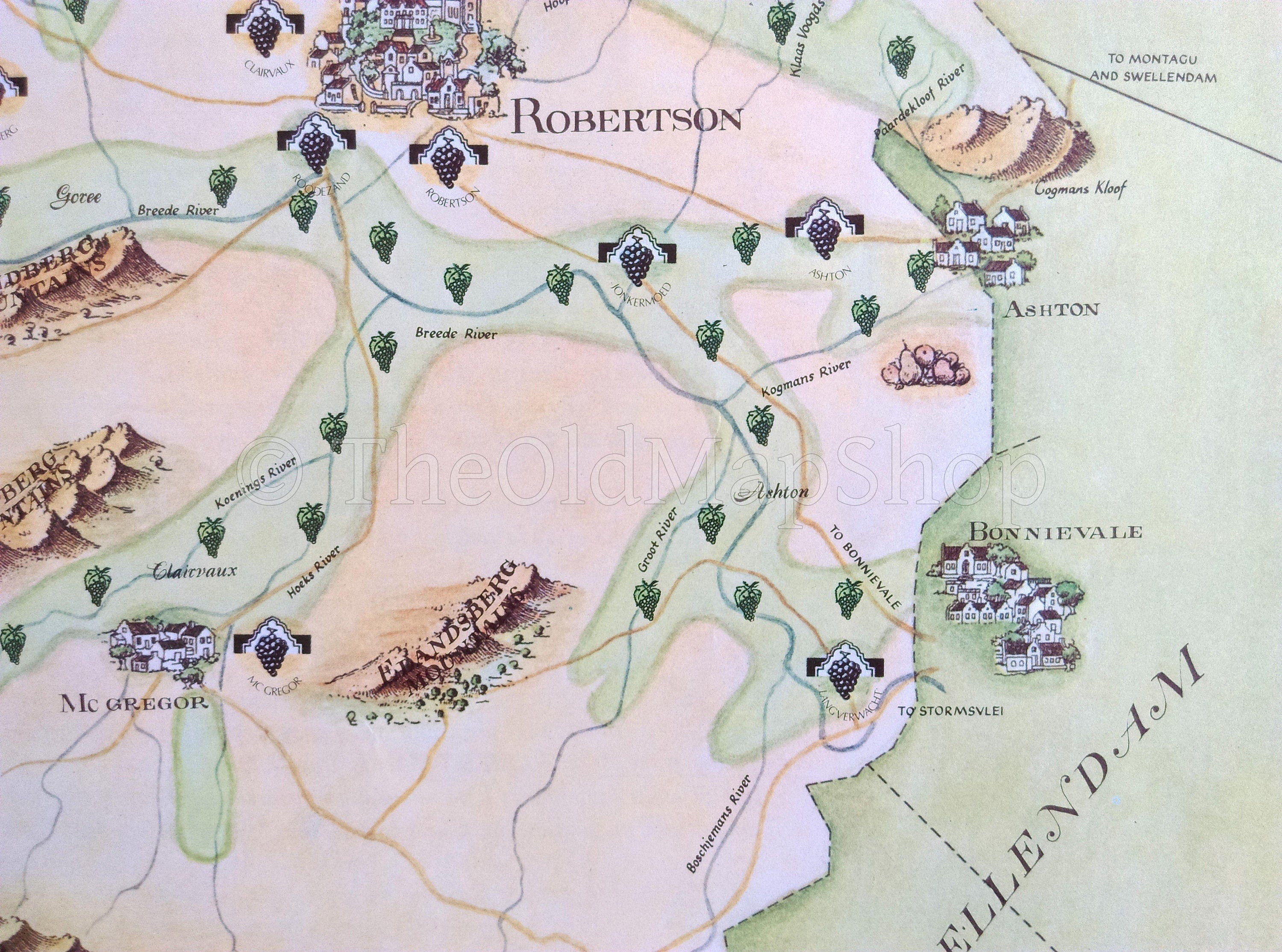 South Africa, Robertson, Wine Region Vinyard Winery Map, 1973 Janice Ashby Pictorial Map, Poster