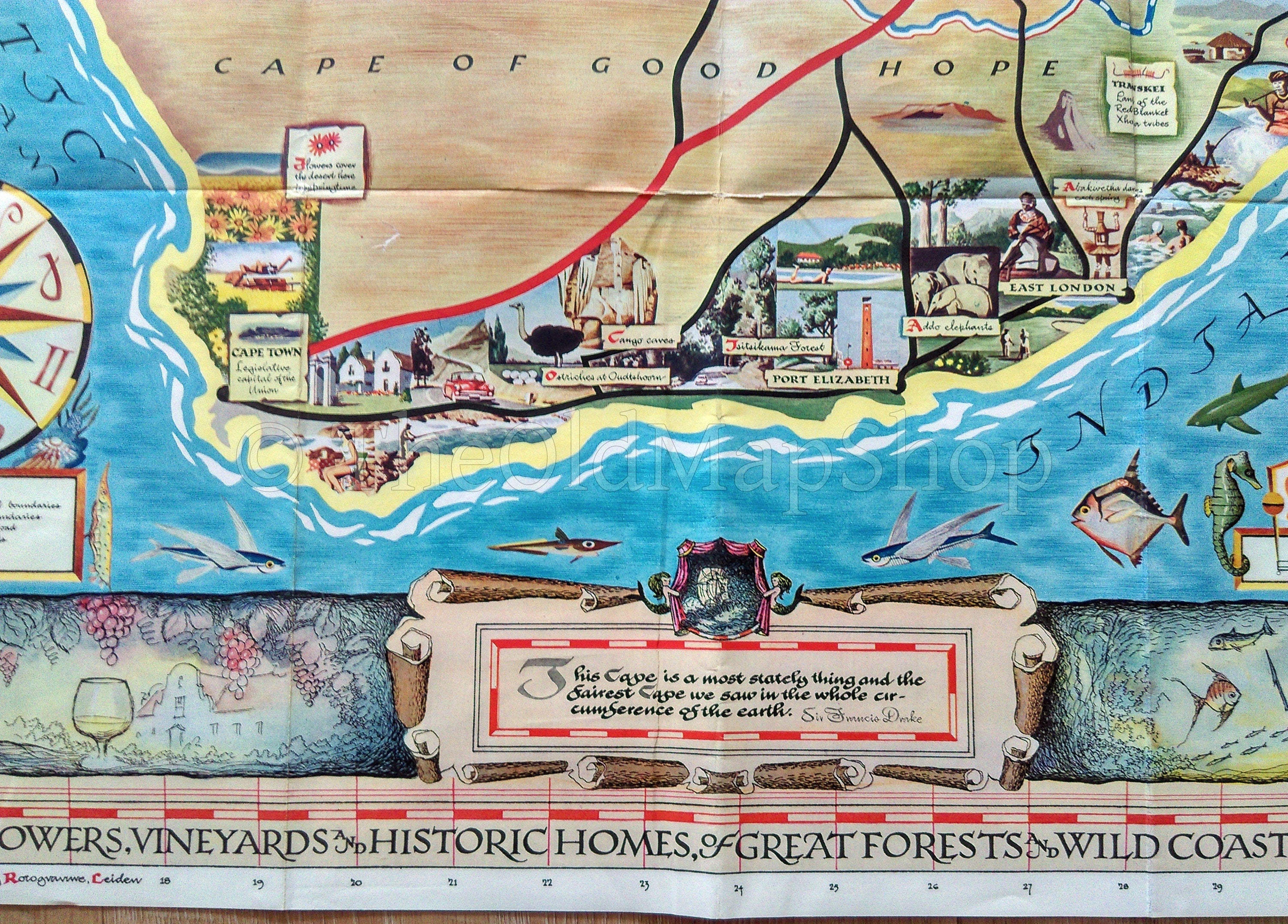 c.1950 South Africa Pictorial Map by Bernard Sargent