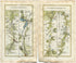 1778 Taylor & Skinner Antique Ireland Road Map 45/46 Navan Ardsallagh Kells Virginia Lough Ramor Ballyjamesduff Butlers Bridge Newtownbutler