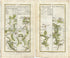 1778 Taylor & Skinner Antique Ireland Road Map 145/146 Aughrim Rathdrum Ballybeg Tinahely Shillelagh Ballybeg Carnew Gorey Wicklow Wexford
