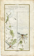 1778 Taylor & Skinner Antique Ireland Road Map 151/152 Portobello Fethard Wexford Duncormick Clonmines Tintern Enniscorthy Clonroche Wexford