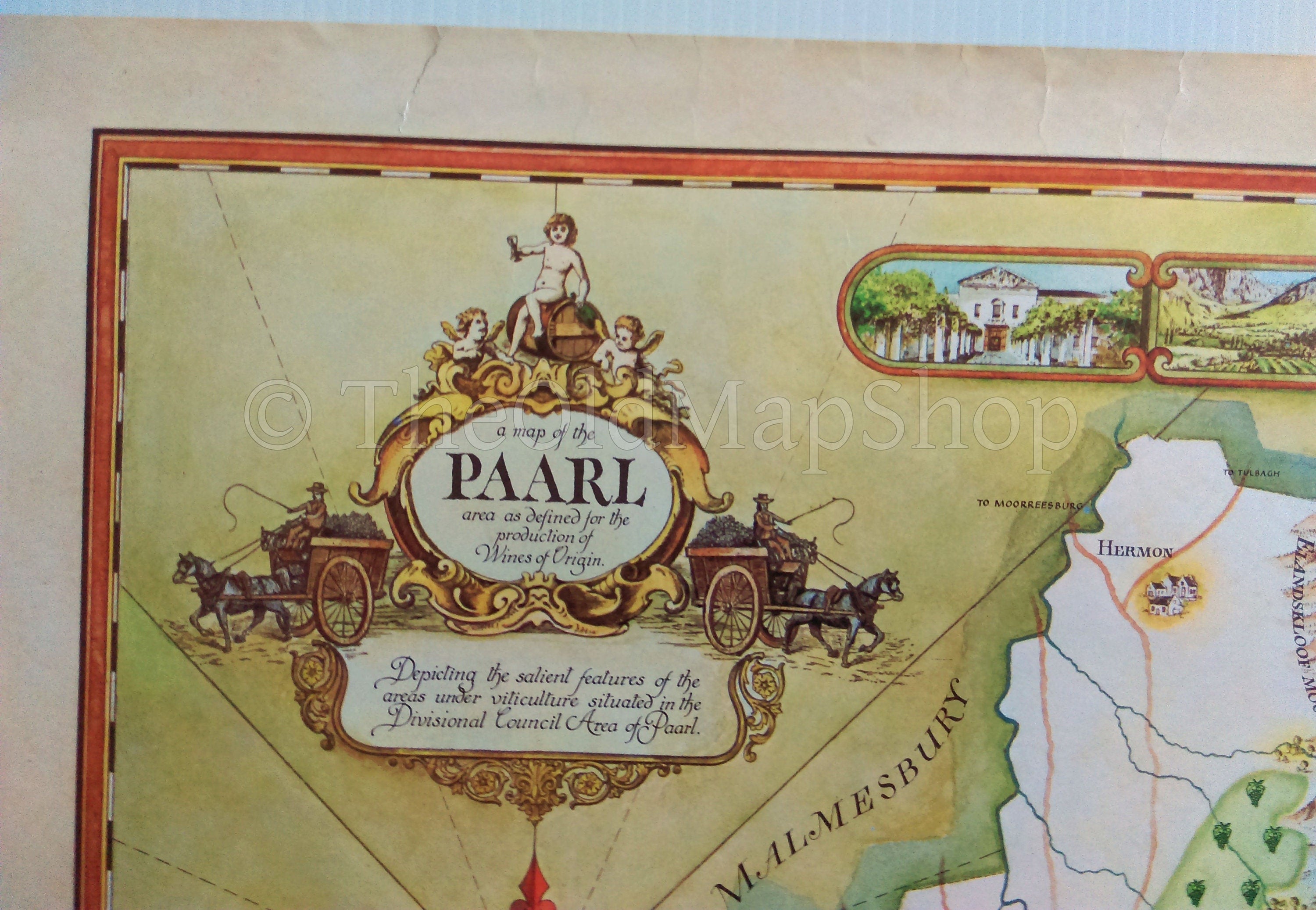 South Africa, Paarl Wine Region Vinyard Winery Map, 1973 Janice Ashby Pictorial Map, Poster