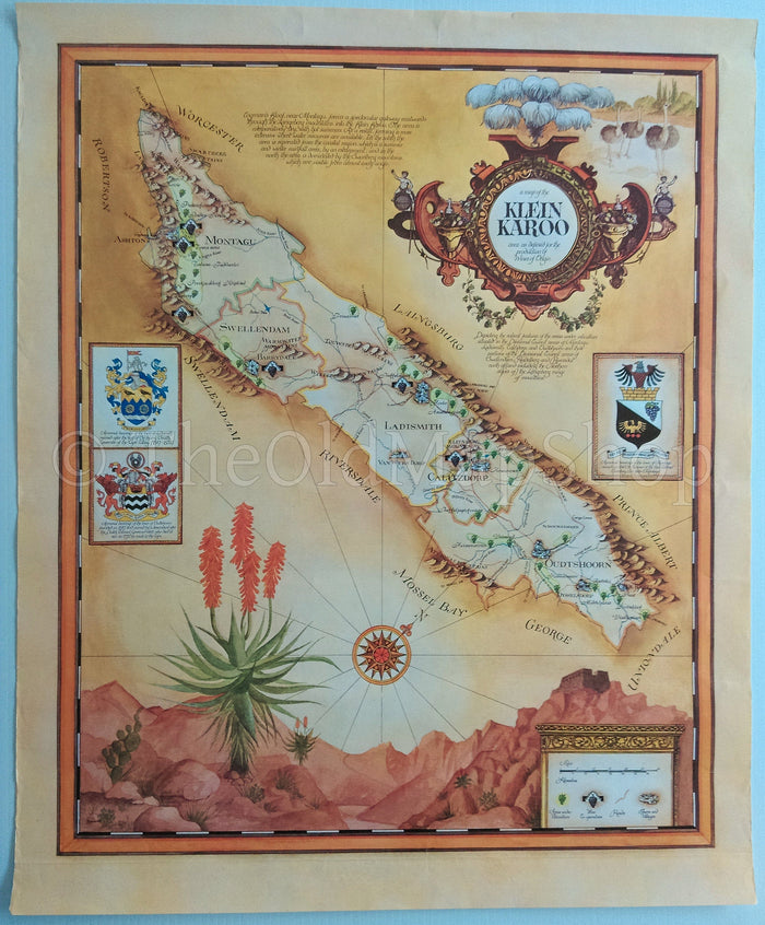 South Africa, Klein Karoo Wine Region Vinyard Winery Map, 1973 Janice Ashby Pictorial Map, Poster