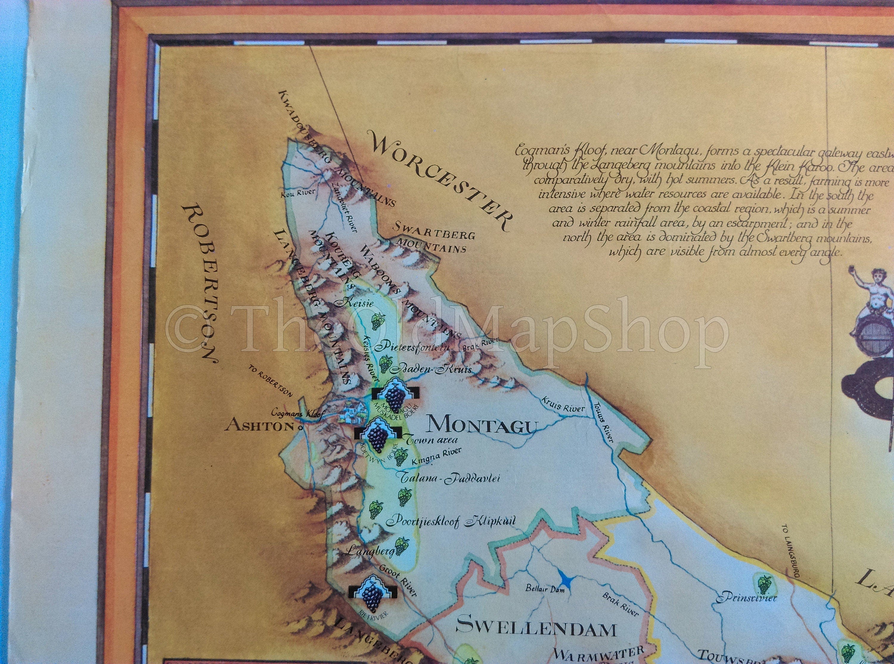 South Africa, Klein Karoo Wine Region Vinyard Winery Map, 1973 Janice Ashby Pictorial Map, Poster