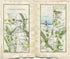 1778 Taylor & Skinner Antique Ireland Road Map 29/30 Garvagh Swatragh Kilrea Aghadowey Agivey Coleraine Portrush Dungiven County Londonderry