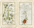 1778 Taylor & Skinner Antique Ireland Road Map 115/116 Urlingford Kilcooley Killenaule Fethard Clonmel Dublin Clondalkin Tipperary