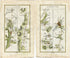 1778 Taylor & Skinner Antique Ireland Road Map 121/122 Ballyboy Clonmel Clogheen Ballyporeen Fermoy Rathcormac Glanmire Cork Tipperary