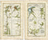 1778 Taylor & Skinner Antique Ireland Road Map 129/130 Tallow Curraglass Aghern Castlelyons Rathcormac Watergrasshill Youghal Waterford Cork