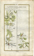 1778 Taylor & Skinner Antique Ireland Road Map 153/154 Enniscorthy Borris Carlow Moyle Castlemore Tullow Clonegall Kildavin Ryland Wexford