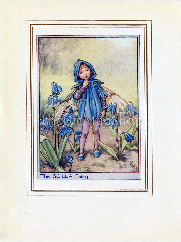Scilla Flower Fairy 1950's Vintage Print Cicely Barker Garden Book Plate G007