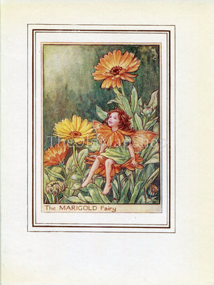 Marigold Flower Fairy 1950's Vintage Print Cicely Barker Garden Book Plate G073