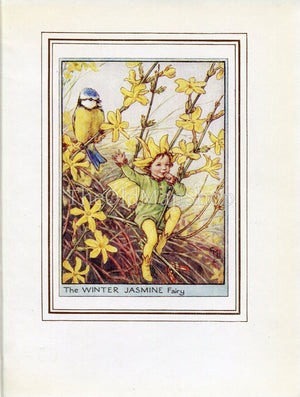 Winter Jasmine Flower Fairy 1950's Vintage Print Cicely Barker Garden Book Plate G058