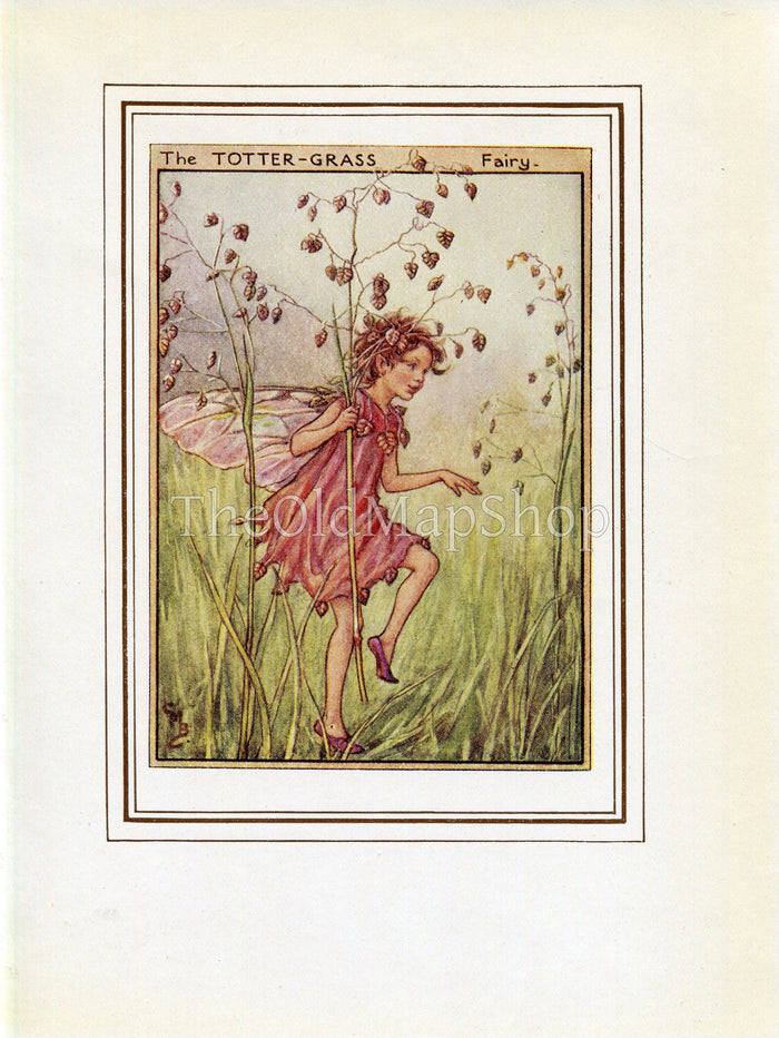 Totter-Grass Flower Fairy 1950's Vintage Print Cicely Barker Wayside Book Plate W078