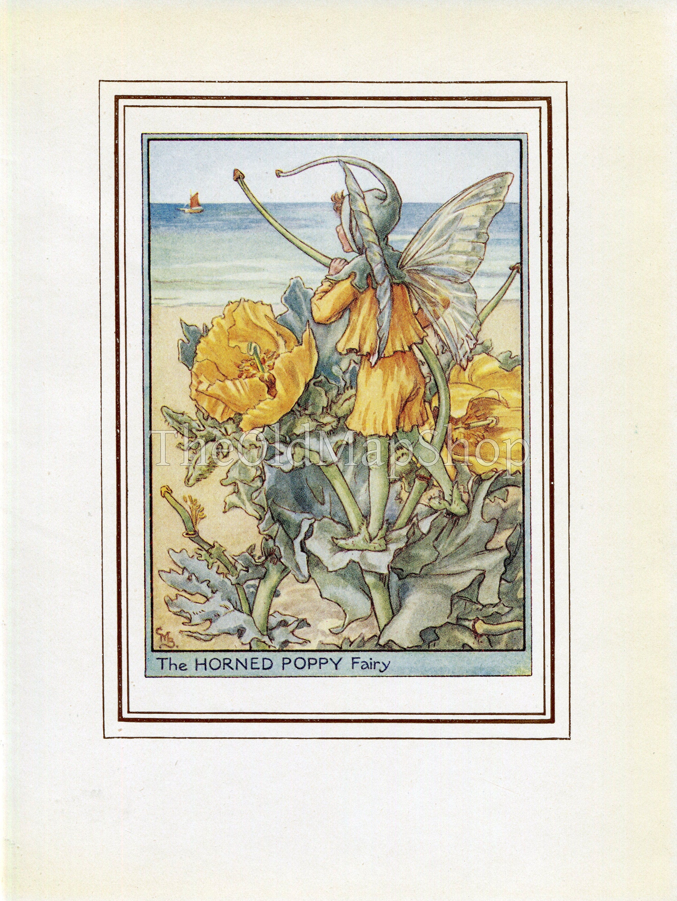 Horned Poppy Flower Fairy 1950's Vintage Print Cicely Barker Wayside Book Plate W053