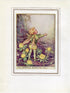 Winter Aconite Flower Fairy 1950's Vintage Print Cicely Barker Garden Book Plate G002