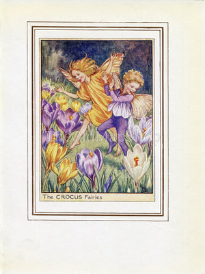 Crocus Flower Fairy 1950's Vintage Print Cicely Barker Garden Book Plate G061