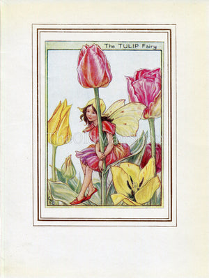 Tulip Flower Fairy 1950's Vintage Print Cicely Barker Garden Book Plate G065