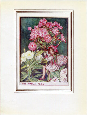 Phlox Flower Fairy 1950's Vintage Print Cicely Barker Garden Book Plate G069