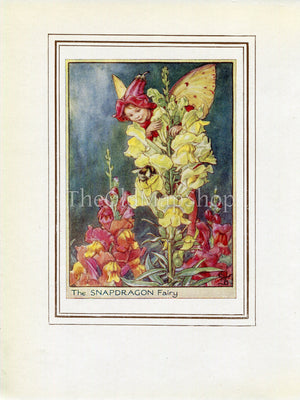Snapdragon Flower Fairy 1950's Vintage Print Cicely Barker Garden Book Plate Nursery Decor G070