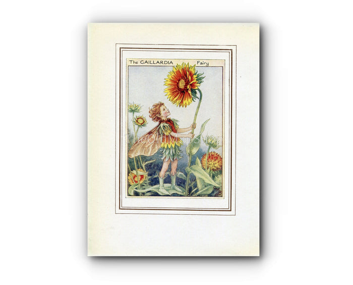 Gaillardia Flower Fairy 1950's Vintage Print Cicely Barker Garden Book Plate Nursery Decor G071