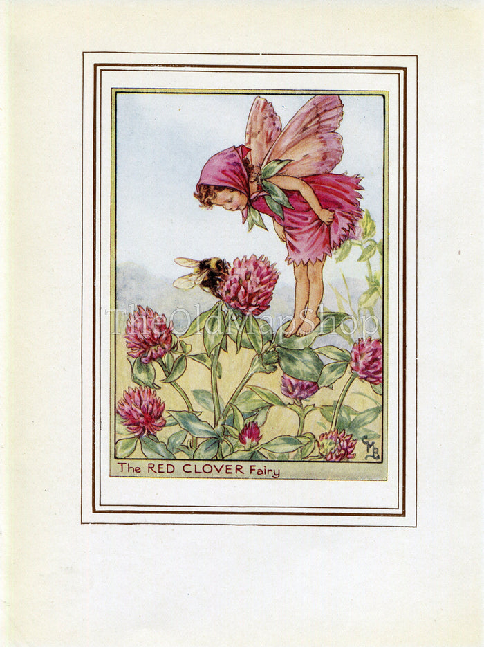 Red Clover Flower Fairy 1950's Vintage Print Cicely Barker Wayside Book Plate W074