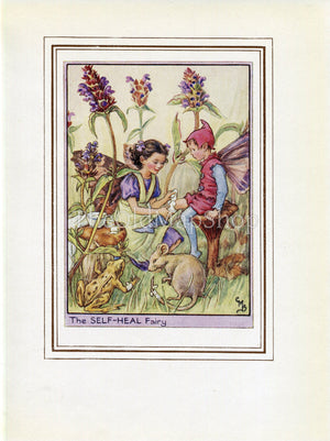 Self-Heal Flower Fairy 1950's Vintage Print Cicely Barker Wayside Book Plate W075