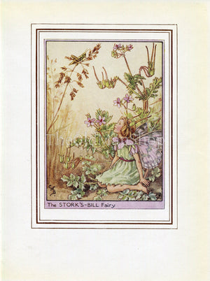 Stork's-Bill Flower Fairy 1950's Vintage Print Cicely Barker Wayside Book Plate W077