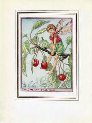 Cherry Tree Flower Fairy 1950's Vintage Print Cicely Barker Trees Book Plate T066