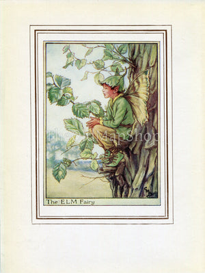 Elm Flower Fairy 1950's Vintage Print Cicely Barker Trees Book Plate T068