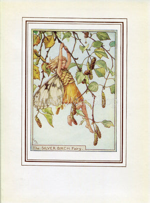 Silver Birch Flower Fairy 1950's Vintage Print Cicely Barker Trees Book Plate T071
