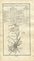 1778 Taylor & Skinner Antique Ireland Road Map 115/116 Urlingford Kilcooley Killenaule Fethard Clonmel Dublin Clondalkin Newlands Tipperary