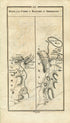 1778 Taylor & Skinner Antique Ireland Road Map 173/174 Skibbereen Bantry Whiddy Island Clonakilty Bealad Dunmanway Thornhill County Cork