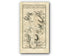1778 Taylor & Skinner Antique Ireland Road Map 173/174 Skibbereen Bantry Whiddy Island Clonakilty Bealad Dunmanway Thornhill County Cork