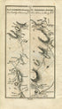 1778 Taylor & Skinner Antique Ireland Road Map 173/174 Skibbereen Bantry Whiddy Island Clonakilty Bealad Dunmanway Thornhill County Cork