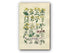 1914 Sowerby Antique Botanical Print, St. John's Wort, Sycamore, Crane's-Bill, Cranesbill, Maple, Plate 13, (Plants 241 - 260)