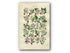 1914 Sowerby Antique Botanical Print, Dog Rose, Medlar, Hawthorn, May, Wild Pear, Wild Apple, Crab Apple, Plate 22, (Plants 421 - 440)