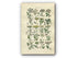 1914 Sowerby Antique Botanical Print, Fool's Parsley, Fennel, Samphire, Wild Parsnip, Milk Parsley, Wild Carrot Plate 28, (Plants 541 - 560)