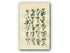 1914 Sowerby Antique Botanical Print, Dandelion Hawkbit, Alpine Hawkweed, Hawkweed, Yellow Flower, Weed, Plate 33, (Plants 641 - 660)