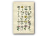 1914 Sowerby Antique Botanical Print, Ox-eye Daisy, Corn Marigold, Feverfew, Chamomile, Yarrow, Great Knapweed, Plate 38, (Plants 741 - 760)