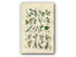 1914 Sowerby Antique Botanical Print, Rosemary Willow, Downy Willow, Little Tree Willow, Creeping Willow, Plate 58 (Plants 1141 - 1160)
