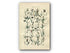 1914 Sowerby Antique Botanical Print, Mud Sedge, Cyperus Sedge, Black Sedge, Yellow Sedge, Tawny Sedge, Plate 73 (Plants 1441 - 1460)