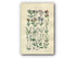 1914 Sowerby Antique Botanical Print, Catchfly, Ragged Robin, Campion, Pearl-Wort, Spurrey, Chickweed, Plate 10, (Plants 181 - 200) - The Old Map Shop