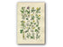1914 Sowerby Antique Botanical Print, Hautboy Strawberry, Spring Cinquefoil, Barren Strawberry, Agrimony, Plate 20, (Plants 381 - 400)