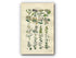 1914 Sowerby Antique Botanical Print, Mistletoe, Guelder Rose, Honeysuckle, Elder, Yellow Bedstraw, Woodbine, Plate 30, (Plants 581 - 600)