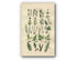 1914 Sowerby Antique Botanical Print, Horsetail, Equisetum, Polypody, Alpine Woodsia, Marsh Fern, Plate 86 (Plants 1701 - 1720)