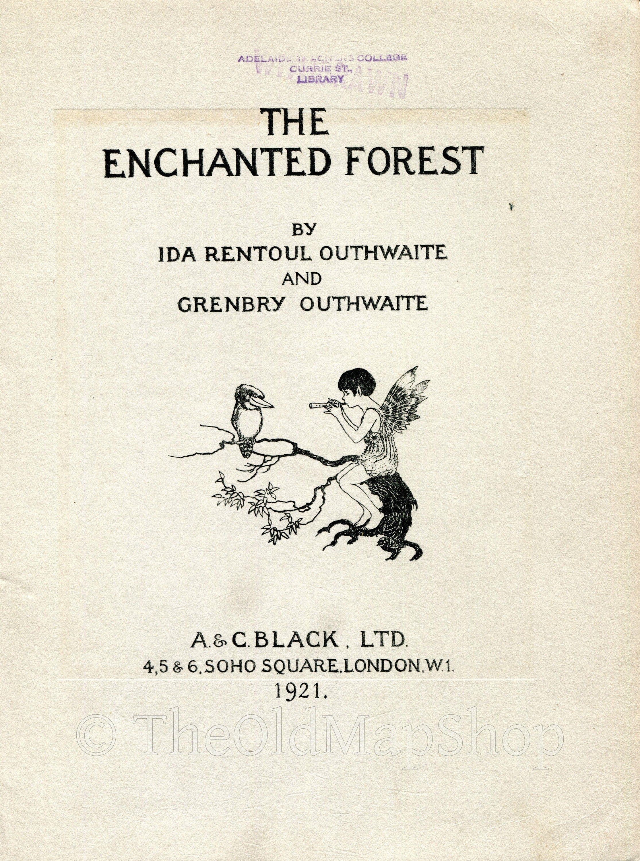 1921 Ida Rentoul Outhwaite Antique Fairy Print (Fairy Beauty Looking Over The Happy Valley) Vintage Book Plate, from The Enchanted Forest