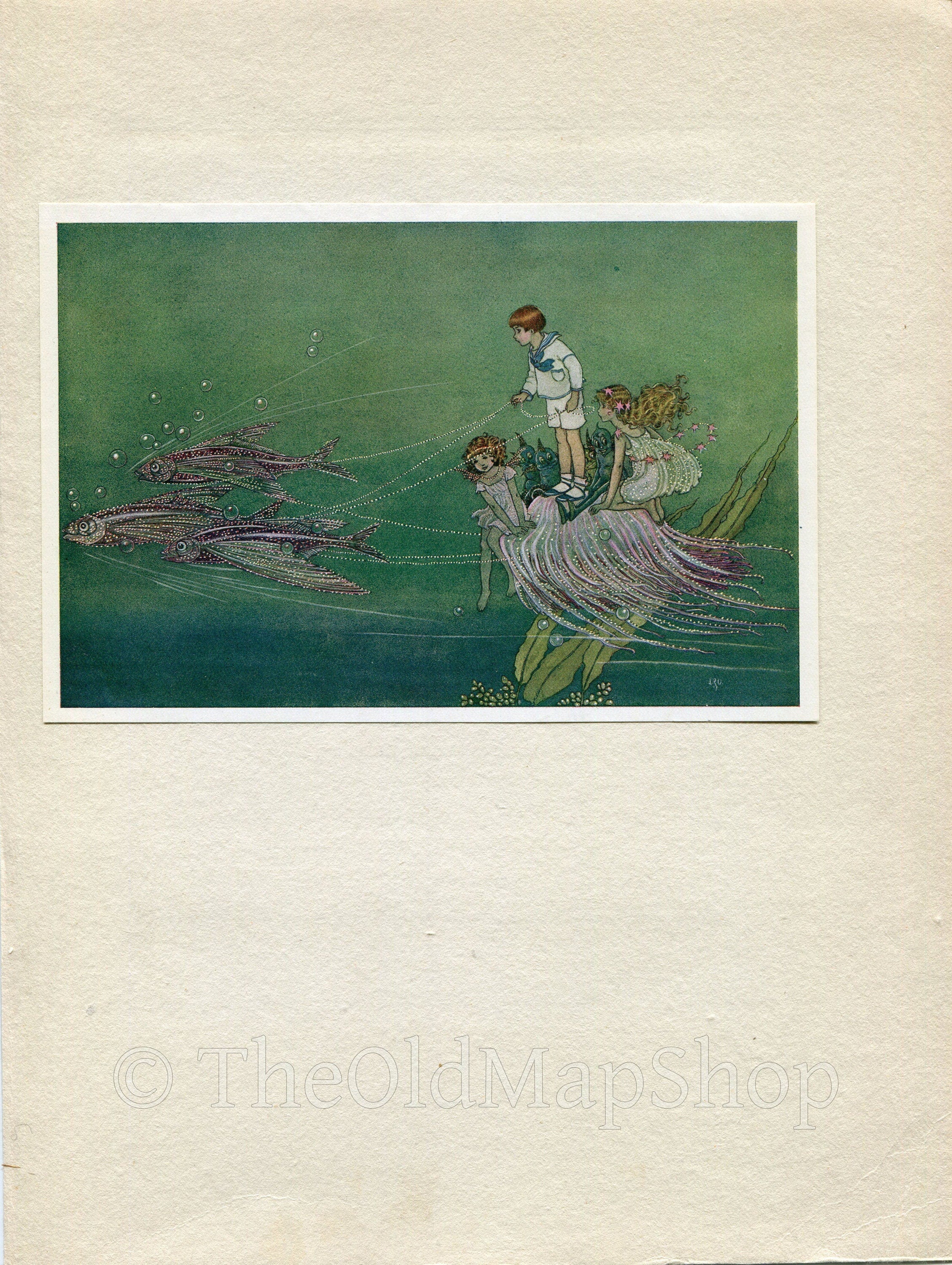 1921 Ida Rentoul Outhwaite Antique Fairy Print (Drawn By Fishes) Vintage Book Plate, from The Enchanted Forest